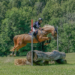 A girl jumping her horse outside over a cross-country jump.