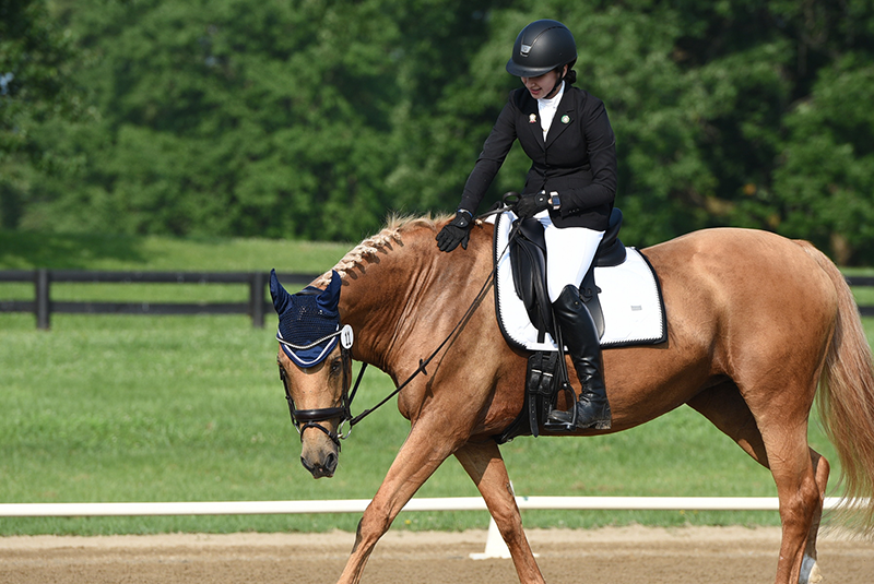 A girl riding her horse in a dressage arena, patting the horse.