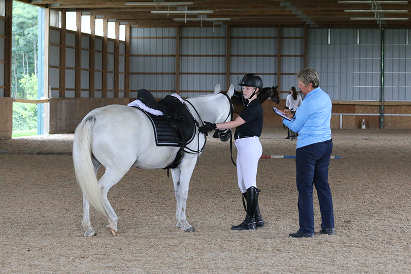 A young woman explaining a part of her horse's equipment to an examiner.