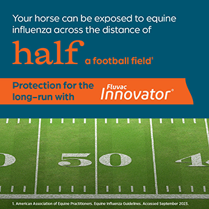 Flu can spread half the length of a football field - biosecurity at a horse show