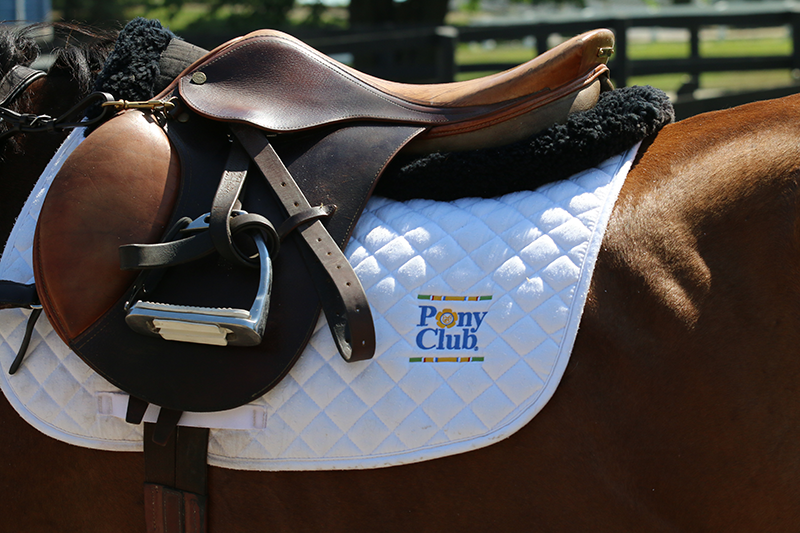 A photo of a clean saddle pad