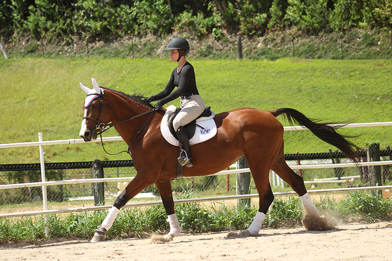 Sherry is in perfect harmony with her horse at the canter. Hunter Seat Equitation