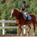 A young girl riding her horse outside.