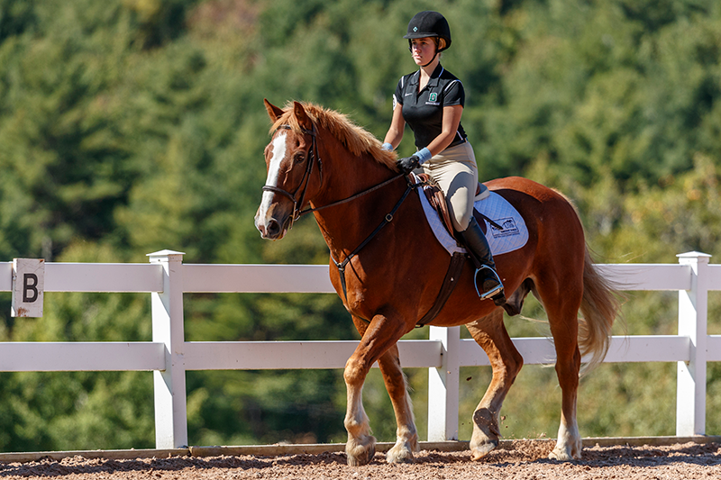 A young girl riding her horse outside.