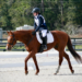 A young girl riding her horse in a dressage arena.