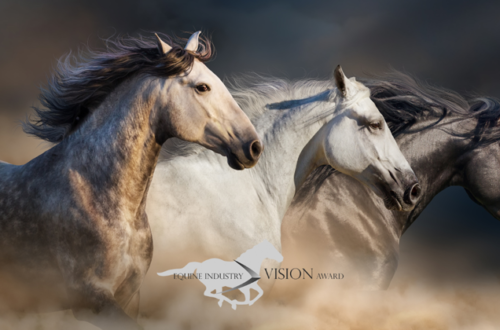 Equine Industry Vision Award