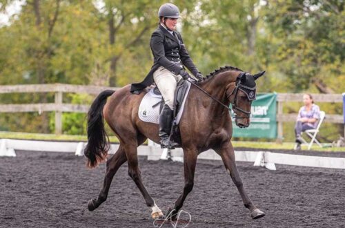 Ema Klugman for the Dear Ema column from Ride iQ riding dressage.