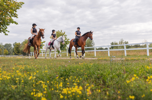 women riding horses for article on equestrian land advocacy