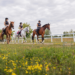 women riding horses for article on equestrian land advocacy