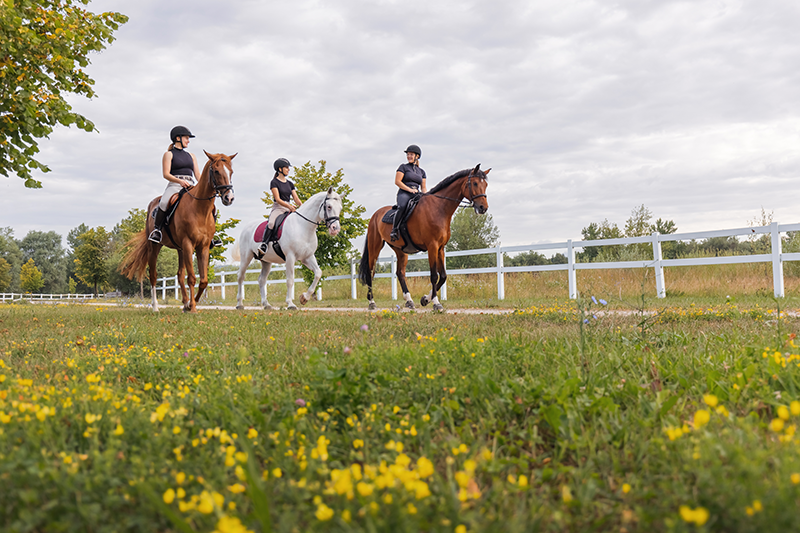 women riding horses for article on equestrian land advocacy