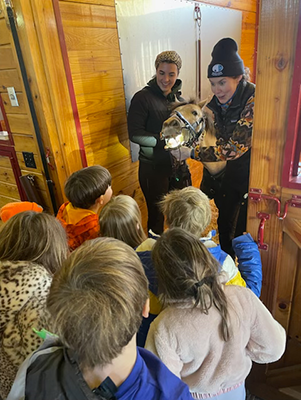 A group of young kids watching a horse have it's teeth floated.