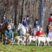 A group of Hounds and horses with riders on the horses.