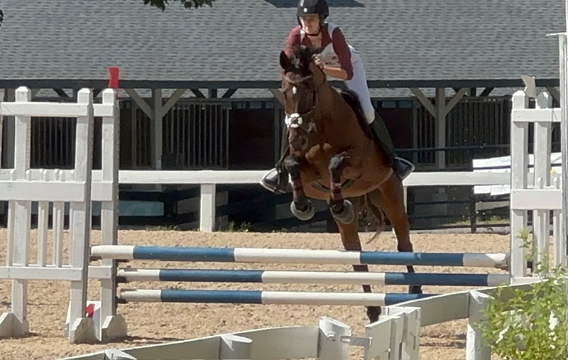 A young woman jumping her horse.