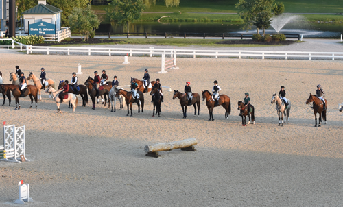 pony club riders lined up on horseback in arena