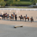 pony club riders lined up on horseback in arena