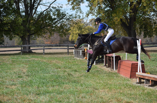 A young woman jumping her horse over a cross country jump.