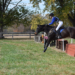 A young woman jumping her horse over a cross country jump.