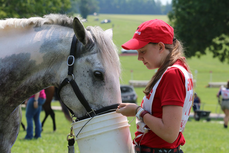 girl holds water bucket for horse drinking