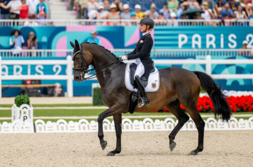 Jessica von Bredow-Werndl and Dalera scored an 82.065% in the Grand Prix team competition at the 2024 Olympic Games. Photo Courtesy International Equestrian Federation (FEI)