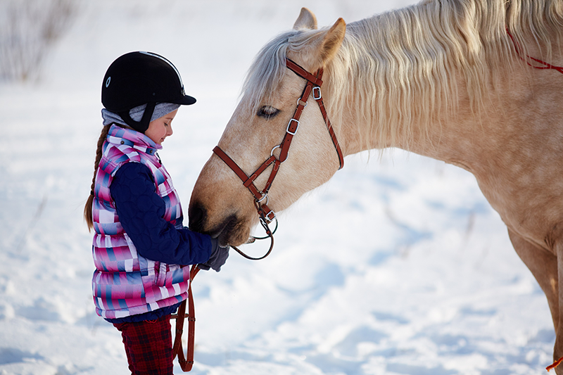 A young girl and her horse out in the snow