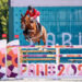 Karl Cook and Caracole de la Roque were one horse-and-rider combination from the U.S. that qualified for the Individual Jumping Final at the 2024 Olympic Games.