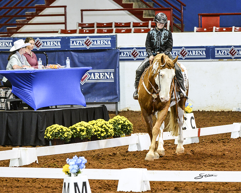 A woman riding her paint horse in a Western Dressage class.