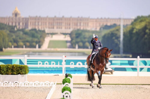 Steffen Peters and Suppenkasper riding their FEI Grand Prix in the 2024 Olympic Games. Photo by Devyn Trethewey/U.S. Equestrian