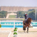 Steffen Peters and Suppenkasper riding their FEI Grand Prix in the 2024 Olympic Games. Photo by Devyn Trethewey/U.S. Equestrian