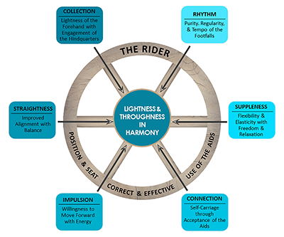 The Western Dressage Training Wheel