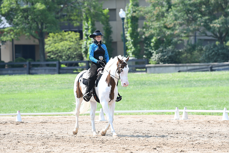 A young girl riding a paint horse in Western Dressage