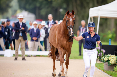 A woman jogging her horse for inspection at the 2024 Paralympic Games.