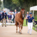 A woman jogging her horse for inspection at the 2024 Paralympic Games.