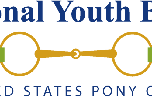 National Youth Board Logo