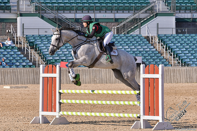 equestrian-show -jumping-rider