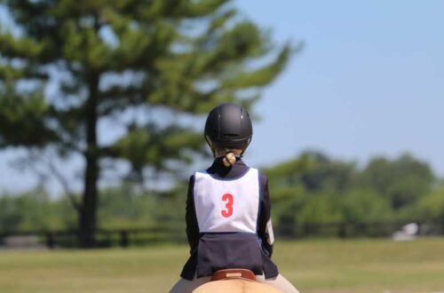 young girl wearing safe horseback riding helmet