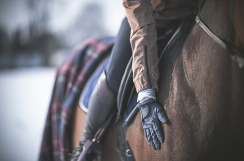 A rider patting their horse