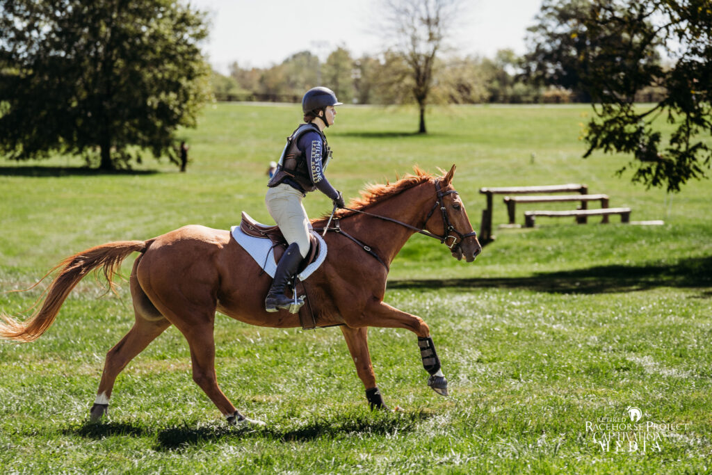 thoroughbred-event-horse-gallops-cross-country