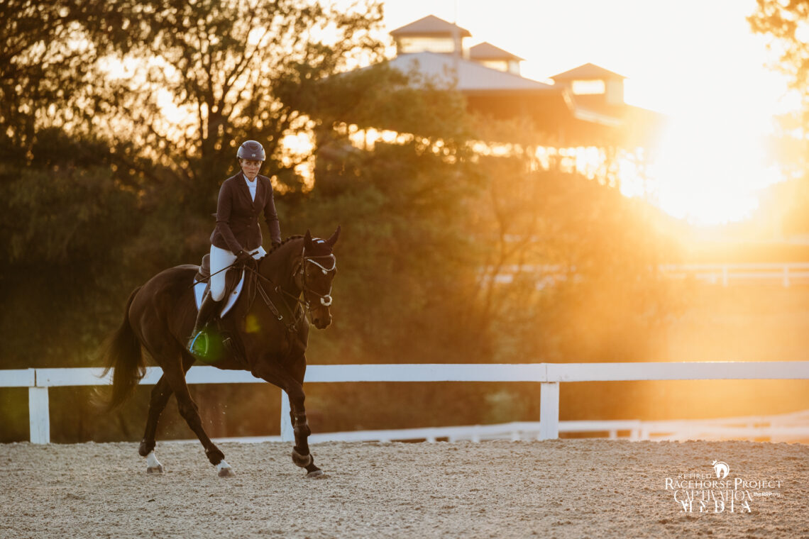 off-track-thoroughbred-tips-dressage-horse