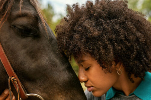 woman looking at horse