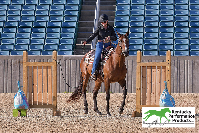 A young woman riding her horse through a trail obstacle.