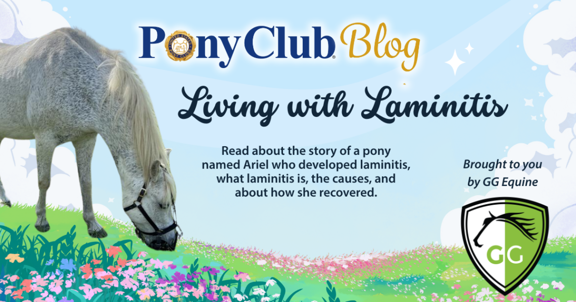 Living with Laminitis blog graphic