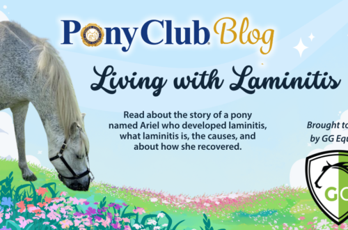 Living with Laminitis blog graphic