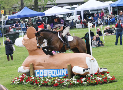 Luke 140 was Boyd Martin's third horse in the top seven in the Defender Kentucky Three-Day Event CCI5*-L. Elizabeth Moyer/United States Pony Clubs