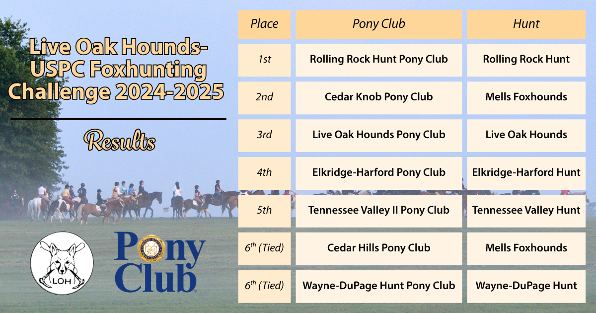 Pony Club Now Blog and News