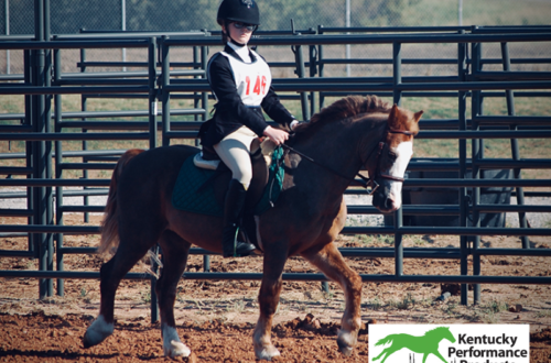 A young girl riding a pony.