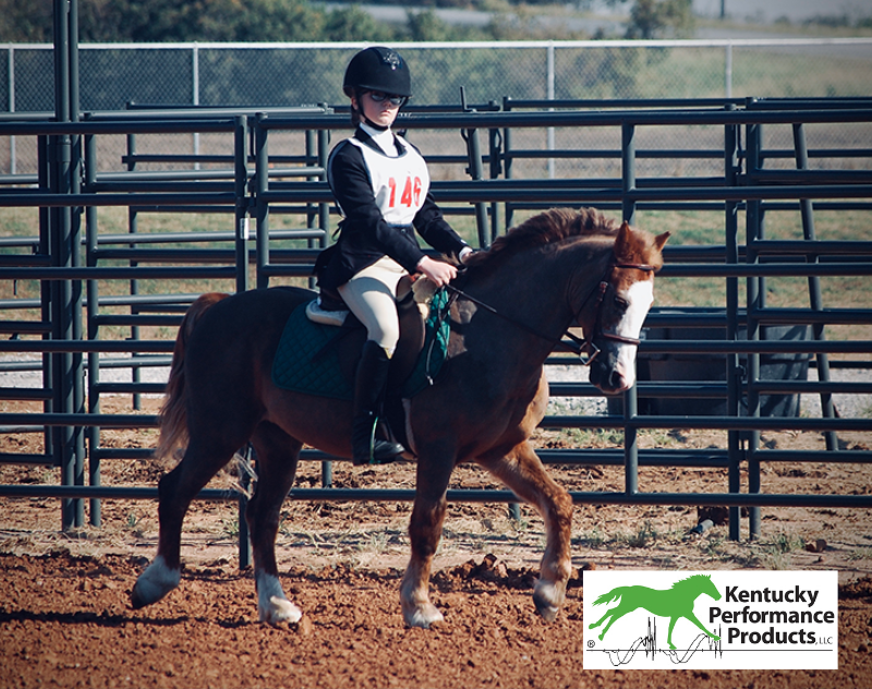 A young girl riding a pony.