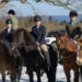 Group of foxhunters. Group of foxhunters. Foxhunting Tips from the winners of the 2024-2025 Live Oak Hounds-USPC Foxhunting Challenge