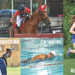 A collage of images of the four phases of Tetrathlon, riding, shooting, swimming, and running.