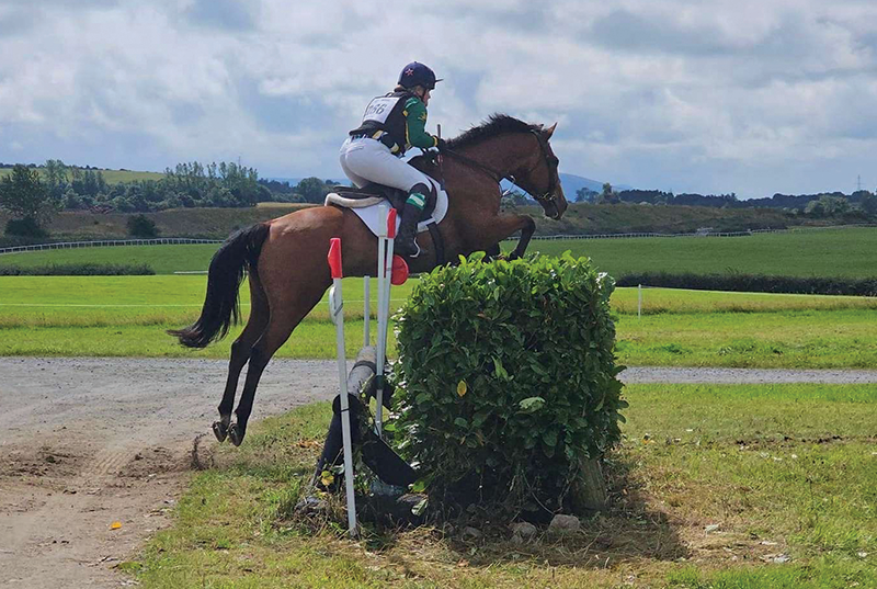A woman jumping a horse over a cross-country jump.