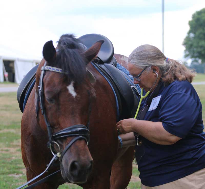 Checking heart rate using a stethoscope